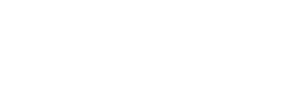 Publicis Groupe